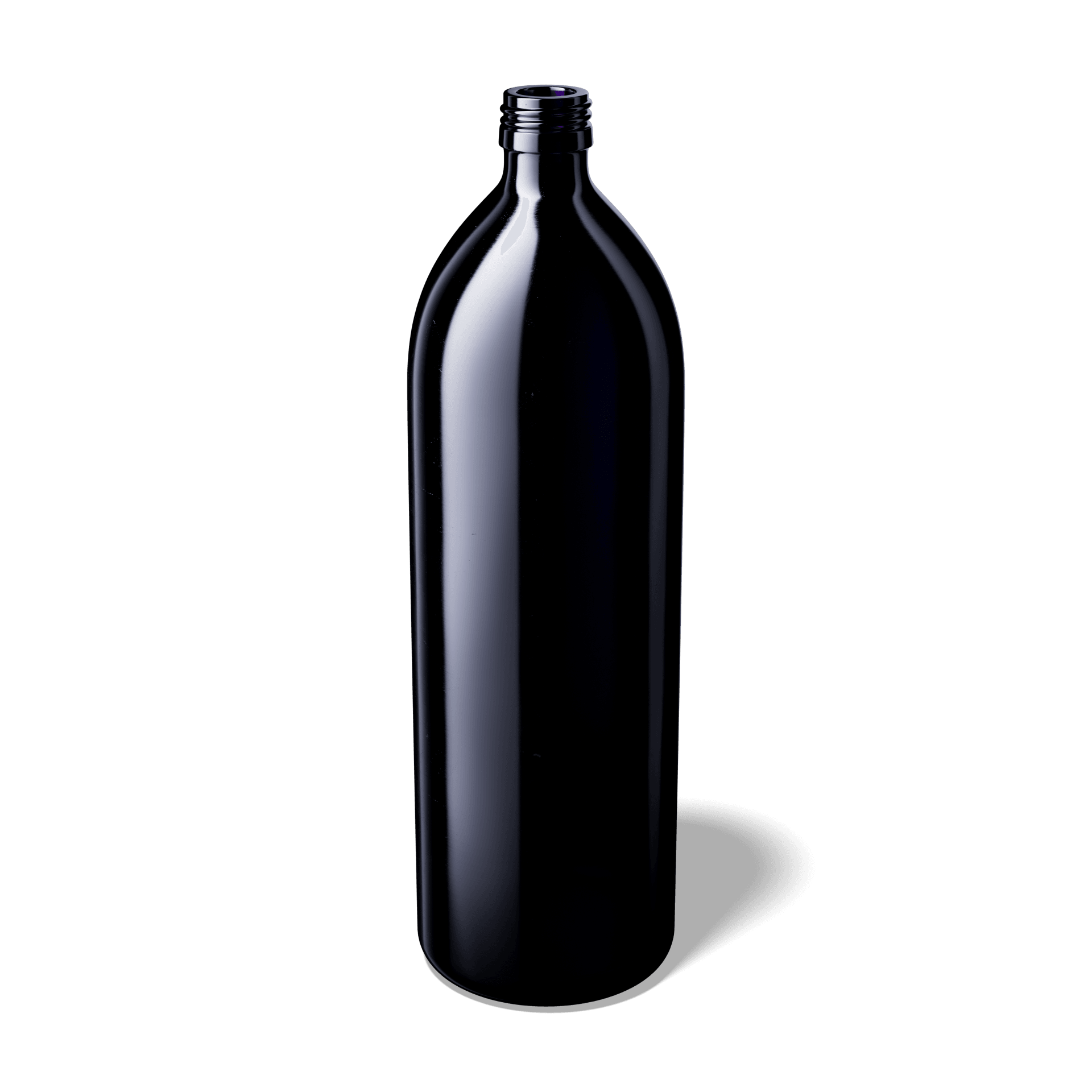 Wasserflaschen Aquarius 1000 ml - bever-naturversand
