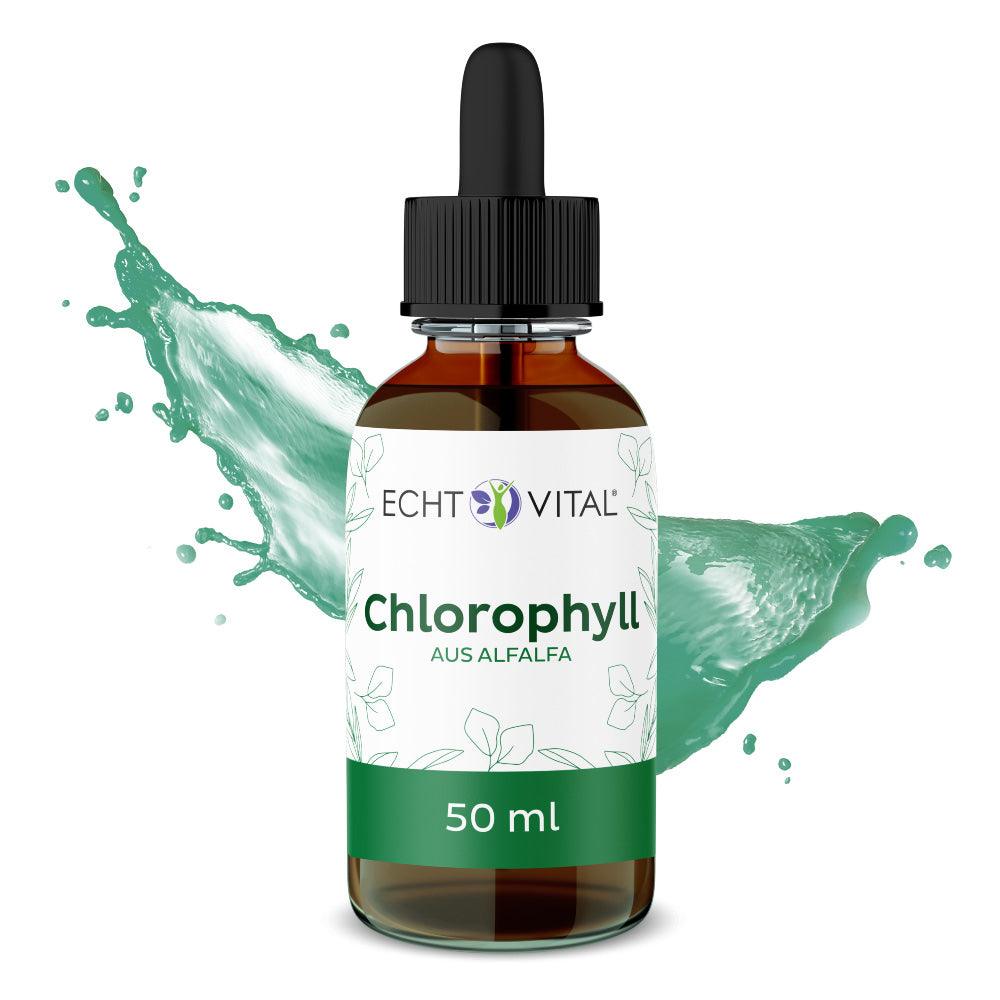 Echt Vital Chlorophyll Tropfen aus Alfalfa - 1 Flasche mit 50 ml - bever-naturversand