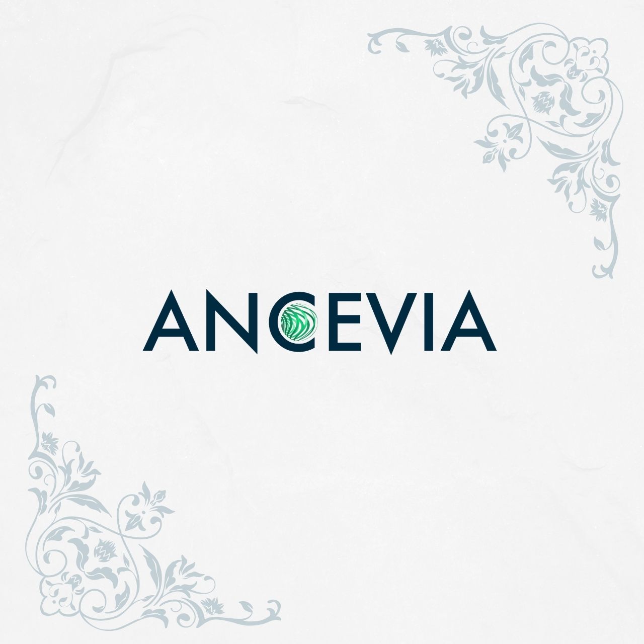 DisClover Schimmel-Schutz von Ancevia®