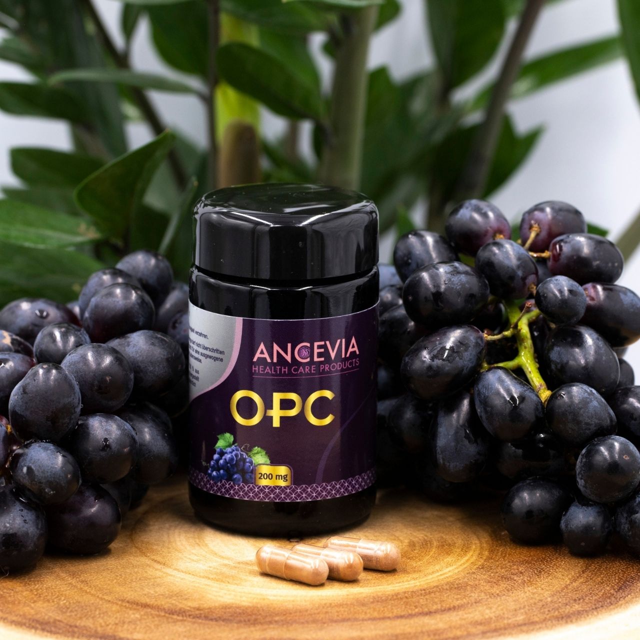 OPC Traubenkernextrakt Kapseln - ANCEVIA®