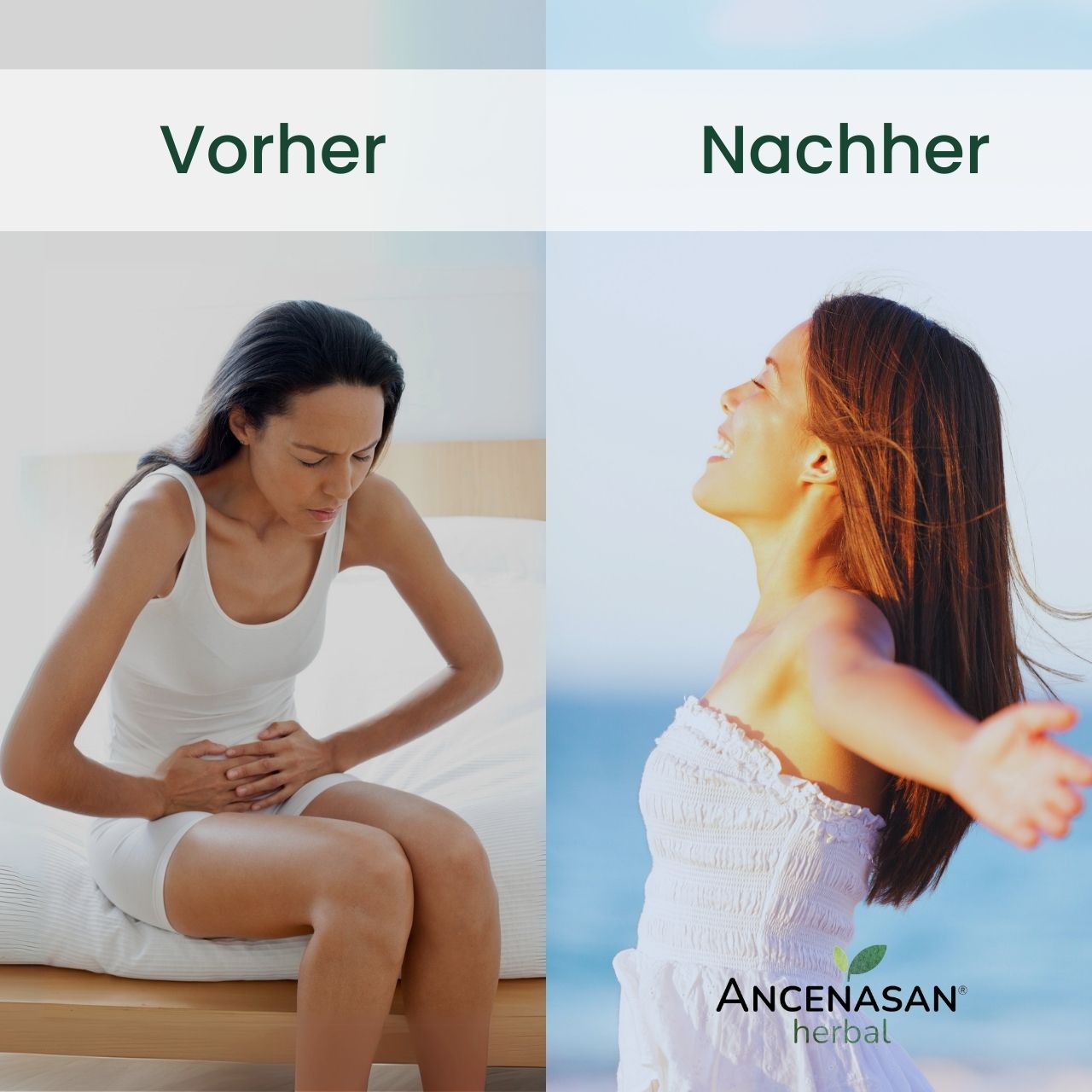Top 3: 49 Bitterkräuter Set mit BONUS - von Ancenasan®