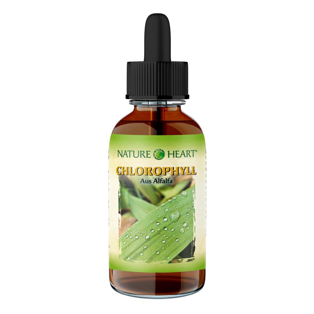 Nature Heart Chlorophyll Tropfen aus Alfalfa - 1 Flasche mit 50 ml - bever-naturversand