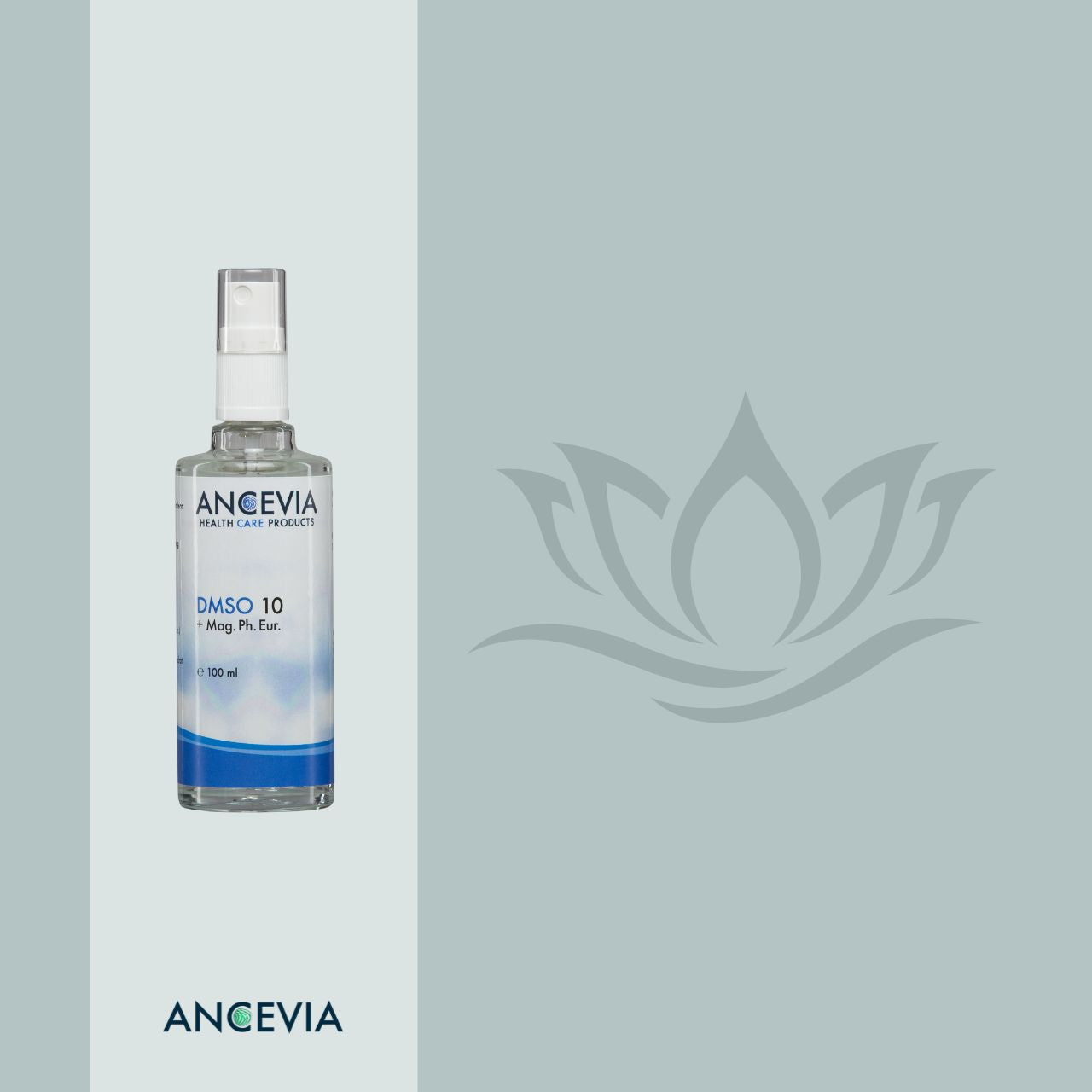 DMSO 10% Sensetiv-Spray mit Magnesiumöl von Ancevia®