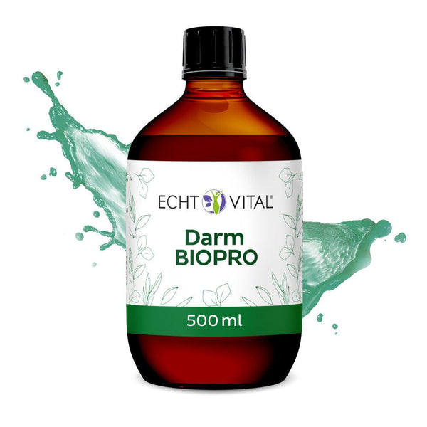 Echt Vital Darm Biopro - 1 Flasche mit 500 ml - bever-naturversand