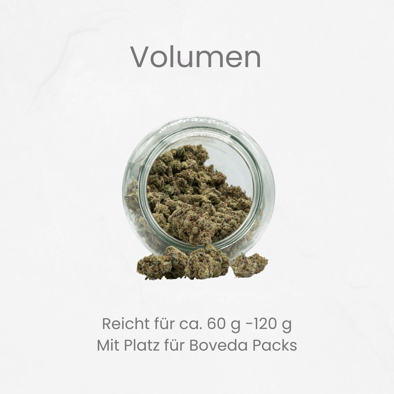 Hygro Giant Sets - Violettglas 1000 ml Weithalsdose mit Hygrometerdeckel + Boveda