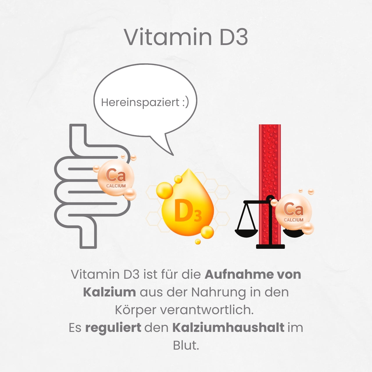 Vital Duo - Vitamin D3 und K2 Tropfen von Ancevia®