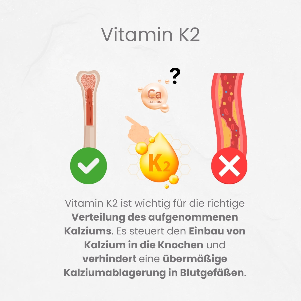 VitaMagPower: MAGNESIUM Kapseln von Ancevia®