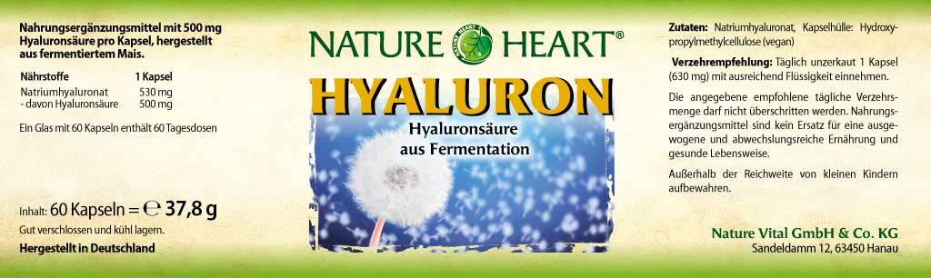 NATURE HEART Hyaluron - Hochdosiertes Natriumhyaluronat, 60 vegane Kapseln