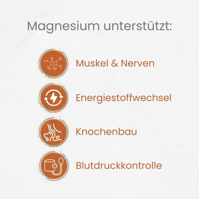 VitaMagPower: MAGNESIUM Kapseln von Ancevia®