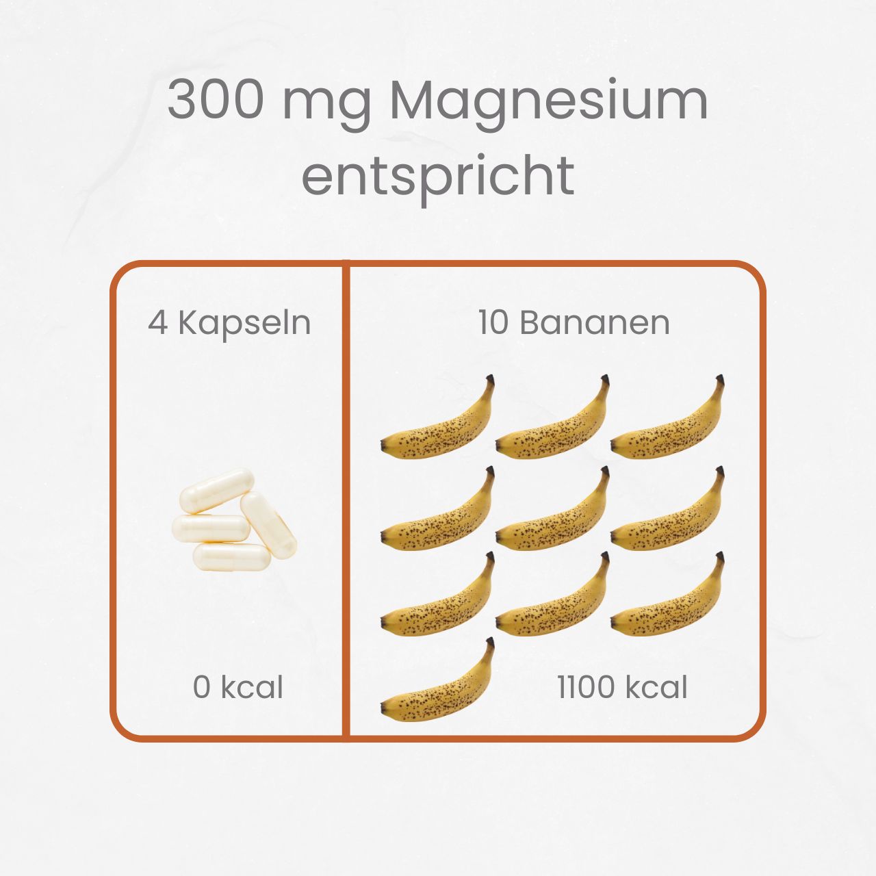 Nährstoff-Quartett (D3, K2, Mg, OPC) von Ancevia®