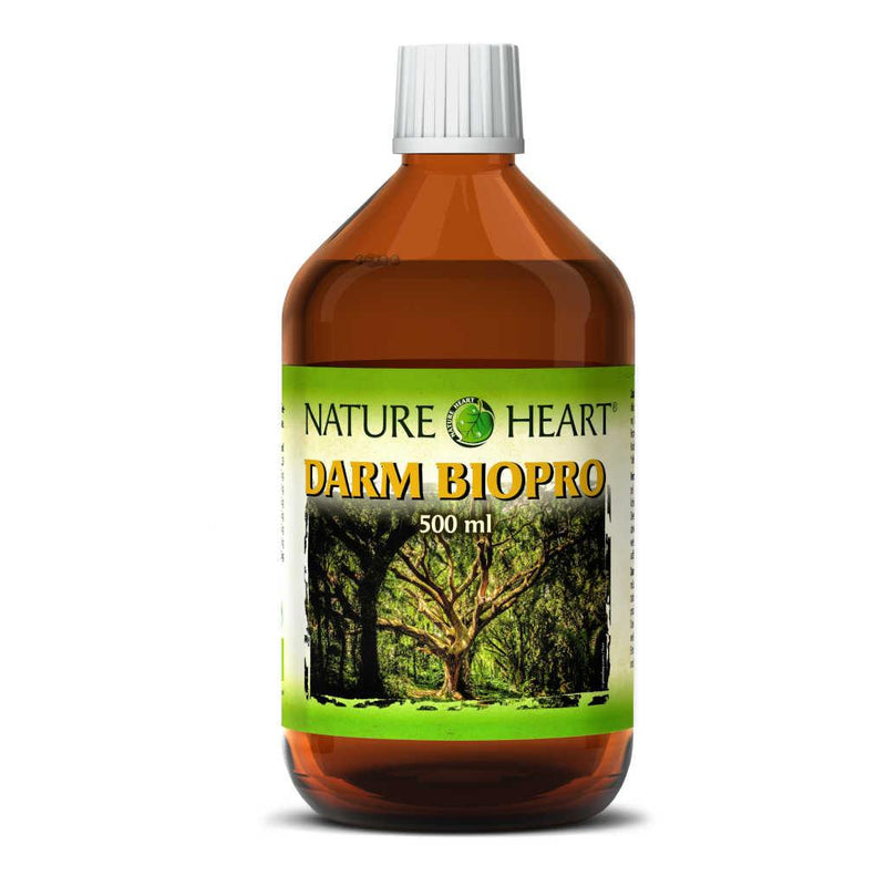 NATURE HEART Darm Biopro - 1 Flasche mit 500 ml - bever-naturversand