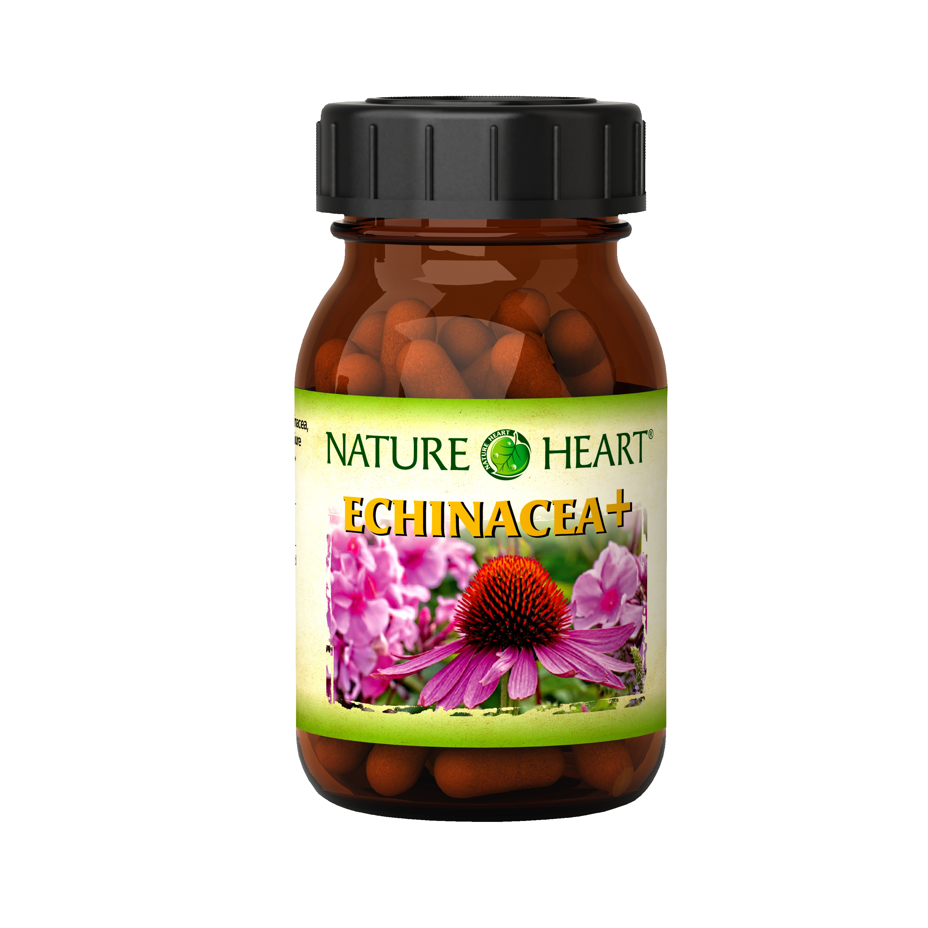 Nature Heart ECHINACEA+ – Stärken Sie Ihr Immunsystem natürlich und effektiv