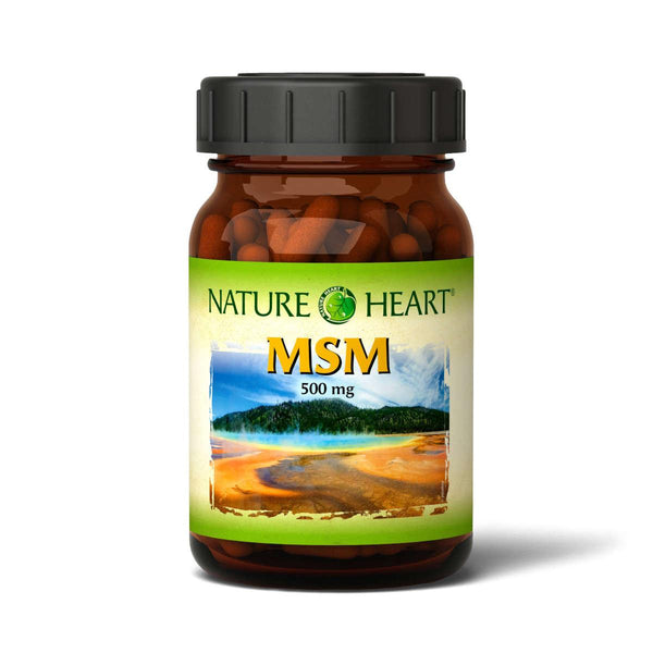 Nature Heart MSM - 1 Glas mit 120 Kapseln