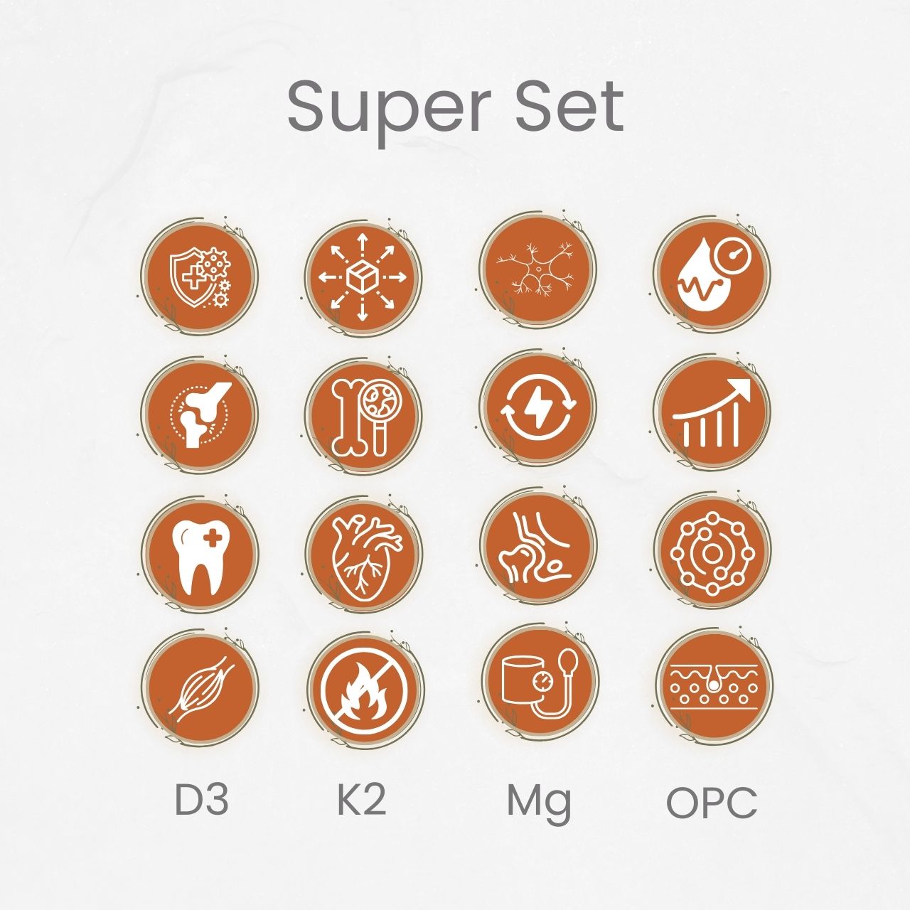 Nährstoff-Quartett (D3, K2, Mg, OPC) von Ancevia®