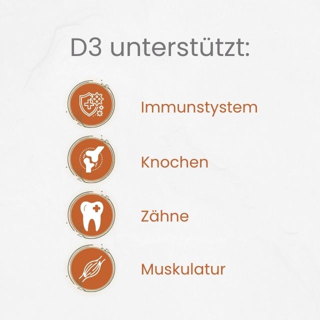 Vital Duo - Vitamin D3 und K2 Tropfen von Ancevia®