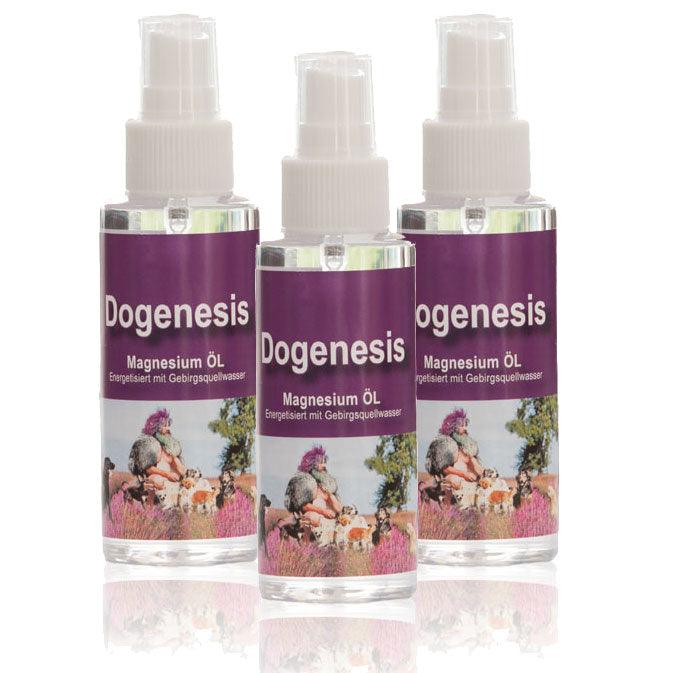 MAGNESIUM ÖL – 100ml Sprühflasche von Robert Franz 3er Set Sparpreis - bever-naturversand